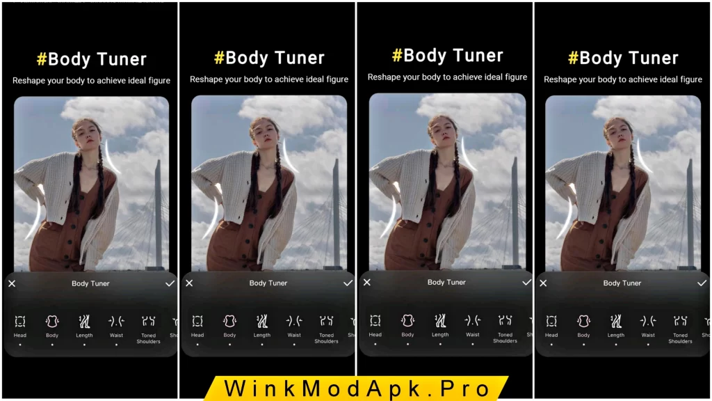 Wink MOD APK 1.6.2.5 - Free VIP Unlocked Pro - Unlimited Export 2024