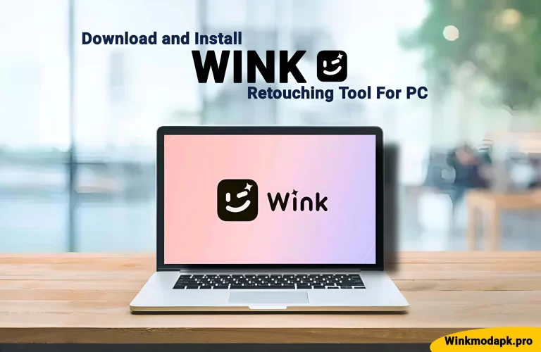 How to Download and Install Wink Video Retouching Tool on PC 